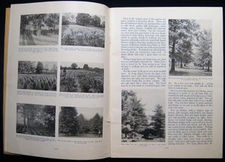 Home Landscapes Hicks Nurseries Westbury, L.I. Illustrated Catalog Inscribed and Signed By Horticulturist Henry Hicks