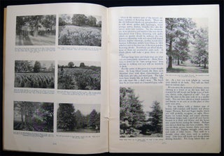 Home Landscapes Hicks Nurseries Westbury, L.I. Illustrated Catalog Inscribed and Signed By Horticulturist Henry Hicks