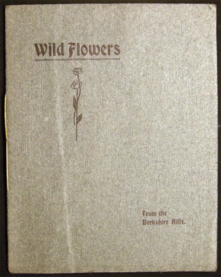 Item #028687 Wild Flowers from the Berkshire Hills. Americana - Natural History - Botany -...