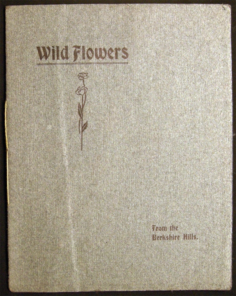 Item #028687 Wild Flowers from the Berkshire Hills. Americana - Natural History - Botany - Herbarium - Berkshire Hills.