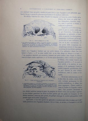 Contribution a L'anatomie Du Porc-Epic Commun (Hystrix Cristata)