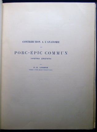 Contribution a L'anatomie Du Porc-Epic Commun (Hystrix Cristata)