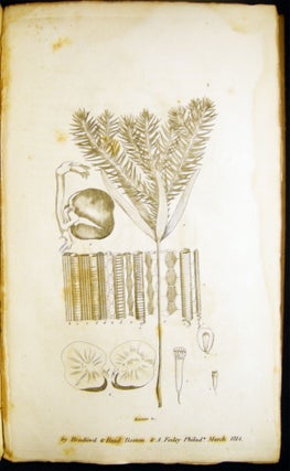 An Introduction to Physiological and Systematical Botany First American, from the Second English Edition; with Notes, By Jacob Bigelow, M.D.