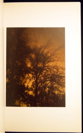 Ashes' Lingering Glimmer Sun Hongbin's Photography