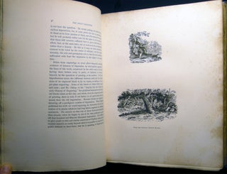 The Print Collector an Introduction to the Knowledge Necessary for Forming a Collection of Ancient Prints...with an Appendix Containing Fielding's Treatise on the Practice of Engraving Edited ...by Robert Hoe, Jr.