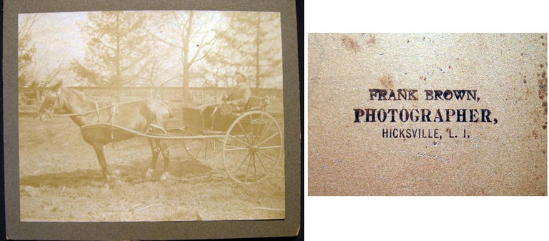 Item #11047 Photograph of a Two-Wheel Buggy & Horse & Driver Taken By Frank Brown, Photographer Hicksville, L.I. Hicksville.