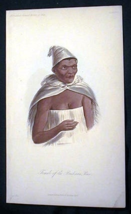 Item #15746 Hand-Colored Lithograph of a Female of the Bushman Race. Bushman