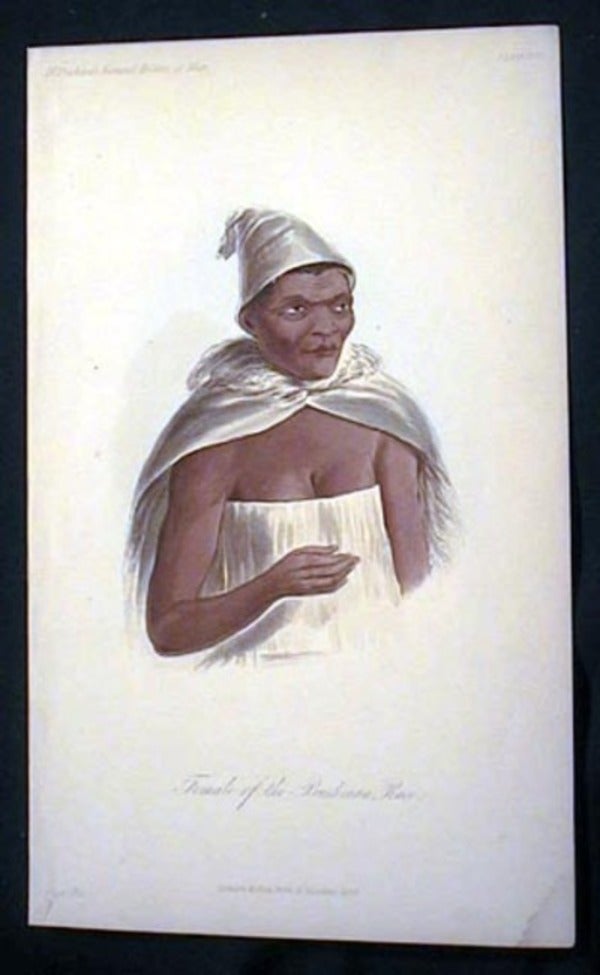 Item #15746 Hand-Colored Lithograph of a Female of the Bushman Race. Bushman.
