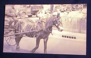 Item #17380 C. 1930s Photograph of Decorative Mule Leading Parade. Photography