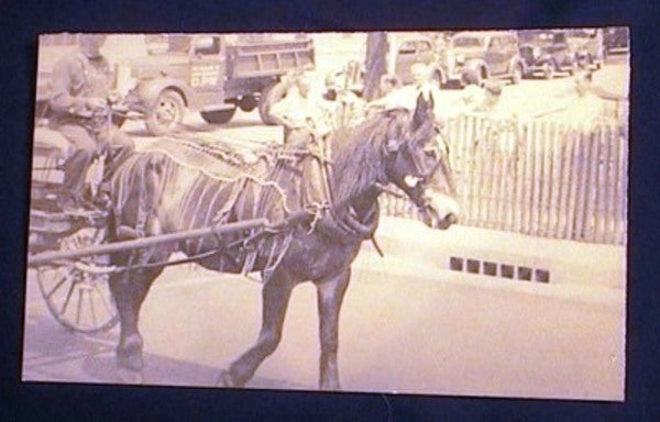 Item #17380 C. 1930s Photograph of Decorative Mule Leading Parade. Photography.