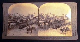 Item #17394 Stereoview of World War I With the French Army in the Dardanelles. Camp of the...