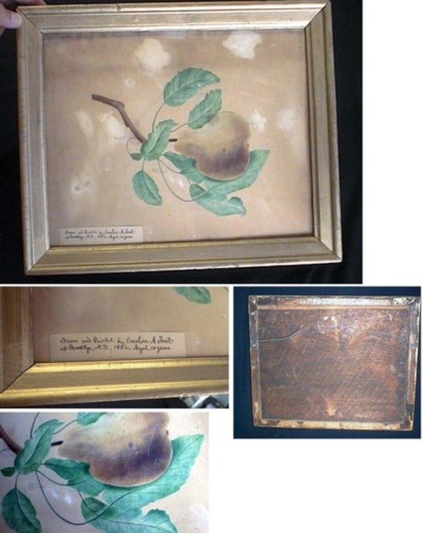 Item #17617 Original Art, of a Pear and Leafy Branch, drawn and Painted By Emeline A. Frost at Brooklyn, N.Y. 1832, Aged 10 Years. Framed and Glazed. Art.