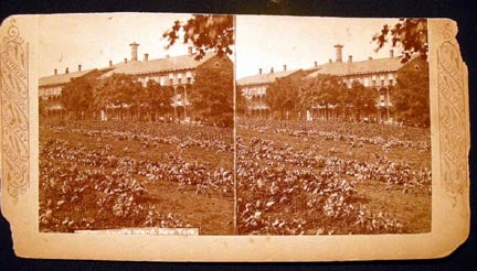 Item #20375 C. 1876 Stereoview Photograph Of Blackwell's Island, New York By Continent Stereoscopic Company. Blackwell's Island.