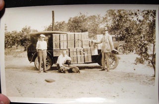 Item #20971 1929 Snapshot Photograph of a group of men in a Florida Orange Grove, with their...