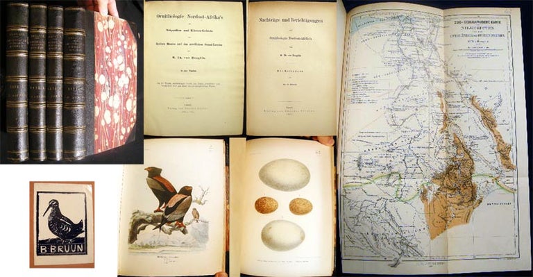 Item #23066 Ornithologie Nordost-Afrika's Der Nilquellen-und Kusten-Gebiete Des Rothen Meeres Und Des Nordlichen Somal-Landes. M. Th Von Heuglin.