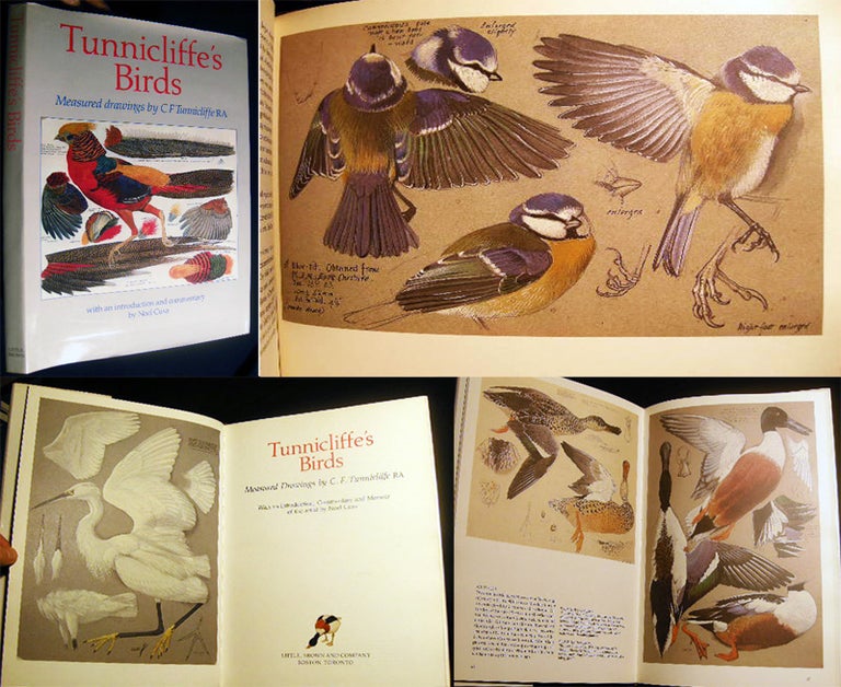 Item #23097 Tunnicliffe's Birds Measured Drawings By C.f. Tunnicliffe RA with an Introduction, Commentary and Memoir of the Artist By Noel Cusa. Ornithology - Tunnicliffe.