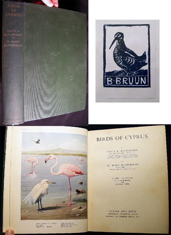 Item #23594 Birds of Cyprus. David A. Bannerman, W. Mary Bannerman.