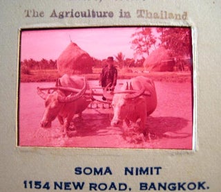 Circa 1958 Group of Color Slides of Bangkok Thailand By Soman Nimit