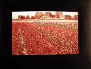 Circa 1958 Color Slides of Holland