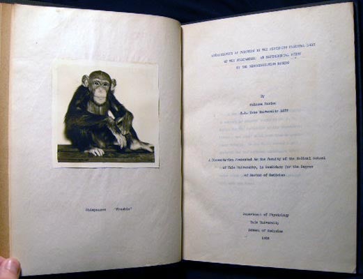 Item #24030 Localization of Function in the Posterior Parietal Lobe of the Chimpanzee: An Experimental Study By the Discrimination Method…A Dissertation Presented to the Faculty of the Medical School at Yale, in Candidacy for the Degree of Doctor of Medicine. Solomon Charles Kasdon.