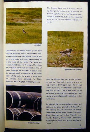1978 - 1987 Collection of Ornithological Studies & Ephemera from Stigsnaes Denmark Industrial Area By Lis and Bent M. Sorensen
