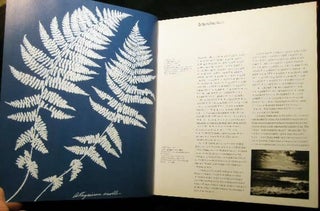 Collecting Photography