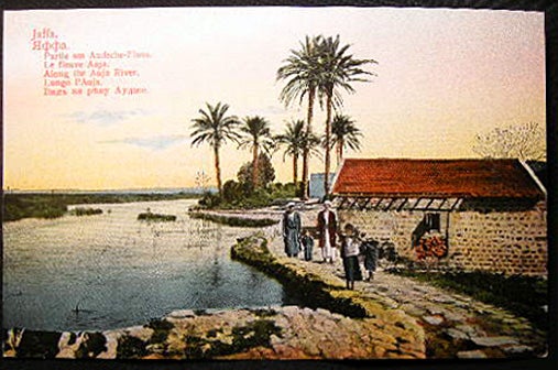 Item #25807 Circa 1911 Postcard Jaffa Parie am Audsche-Fluss Le Fleuve Auja Along the Auja River Lungo l'Auja. Middle East - Jaffa - 20th Century.