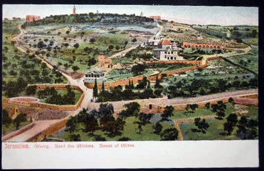Item #25862 Circa 1910 Postcard Jerusalem Olberg Mont Des Oliviers Mount of Olives. Middle East - Holy Land - Jerusalem - 20th Century.