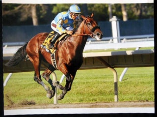 Item #26278 2015 Color Photograph American Pharoah (with Victor Espinoza Up) Wins the Haskell...