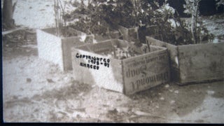 1908 Photograph of Two Franciscan Monks Seated in a Tropical Memorial Garden Signed N. Maceo