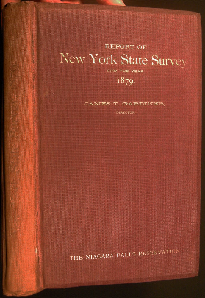 Item #26965 Special Report of New York State Survey on the Preservation of the Scenery of Niagara Falls, and Fourth Annual Report on the Triangulation of the State for the Year 1879. James T. Gardner, Director. Americana - 19th Century - New York State - Niagara Falls.