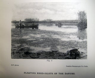 The Structure and History of Plav: The Floating Fen of the Delta of the Danube. By Marietta Pallis